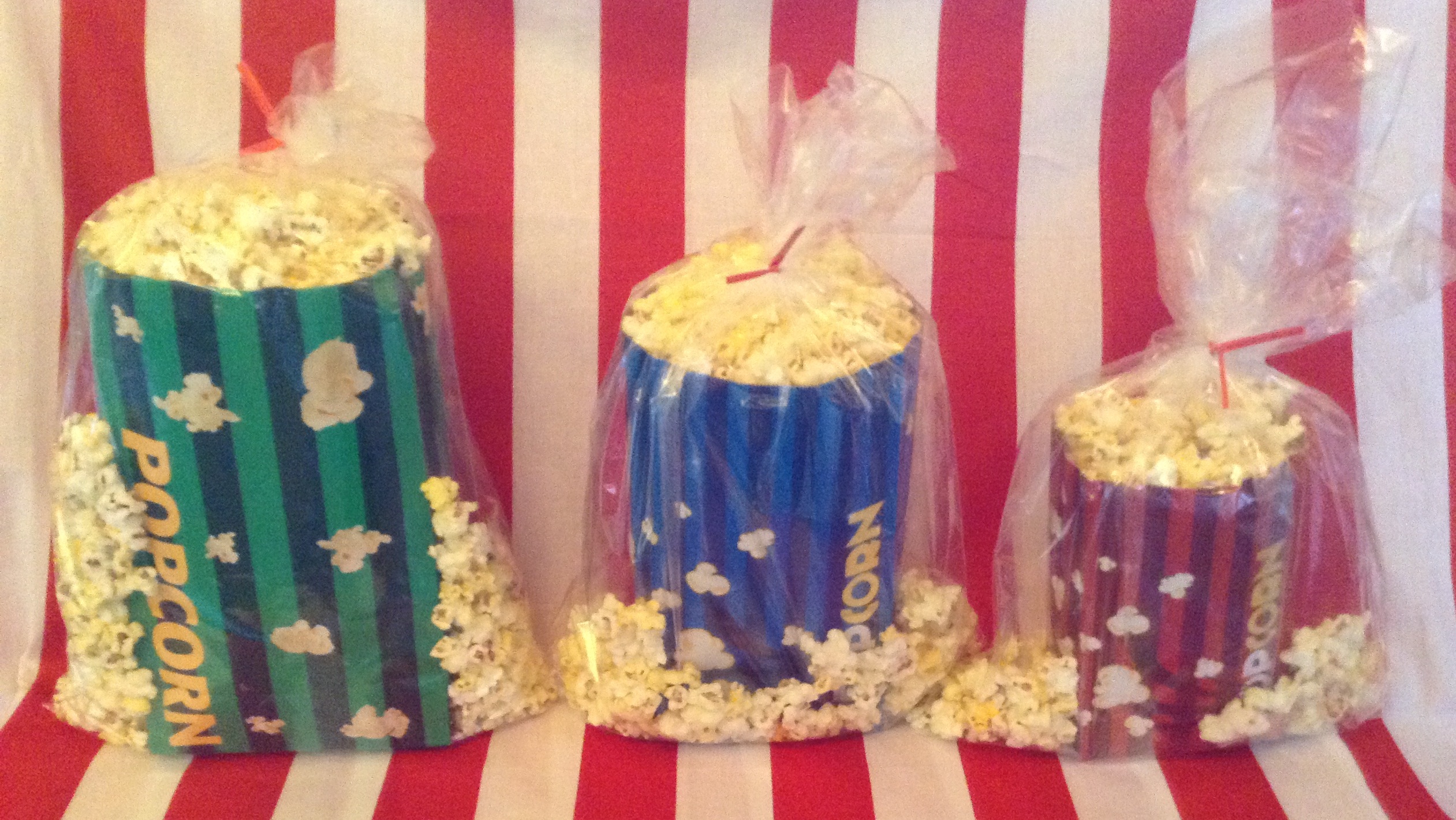 Popcorn_Bagged_1_cropped